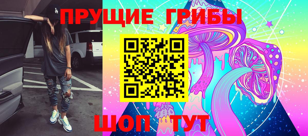 Норильск  Псилоцибиновые грибы Psilocybe  Вход с VPN 