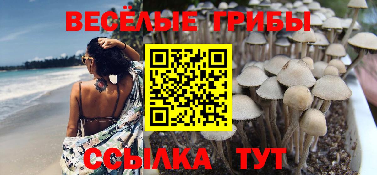 Галлюциногенные грибы MAGIC MUSHROOMS Норильск